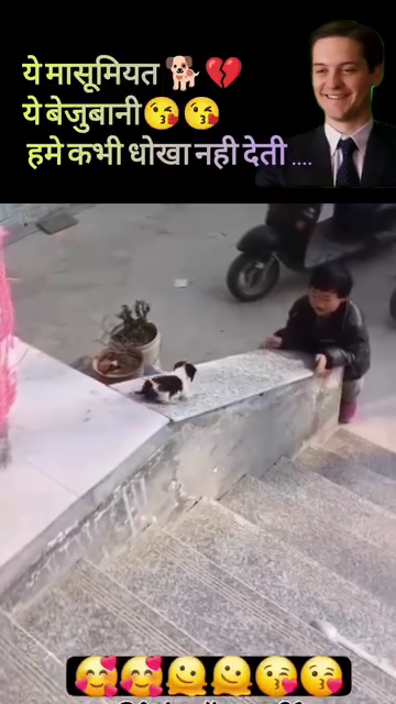 cute puppy playing with baby